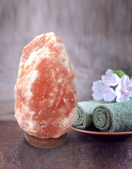 Load image into Gallery viewer, Himalayan Shop Natural Pink Salt Lamp, Small, 4-5.5 Lbs
